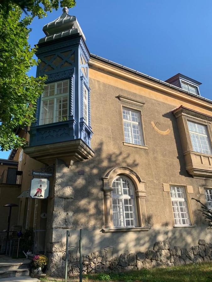 Villa Pazelt Top1 Bad Voeslau Exterior photo